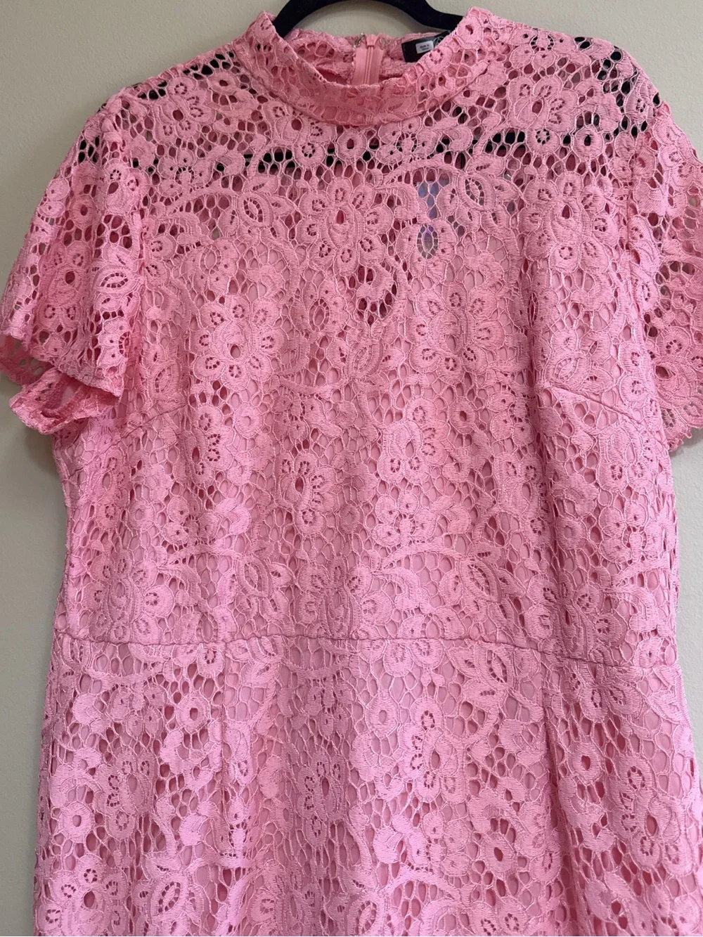 Curve Cap Sleeve Pink Lace Midi Dress - Picture 3 of 6